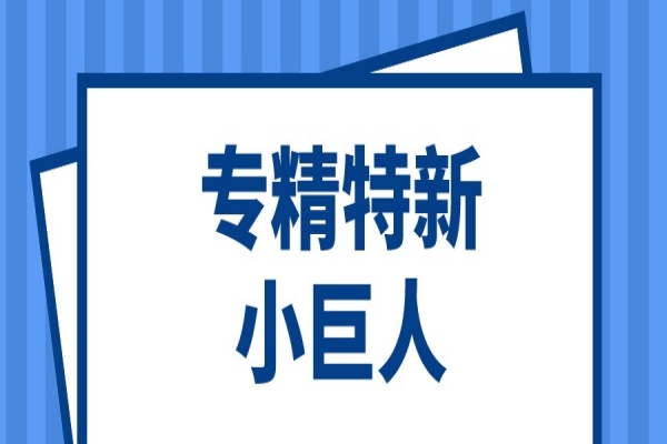 第三批第一年建议支持的国家级专精特新“小巨人”企业名单和2022年度申请简单更名的专精特新“小巨人”企业名单的公示