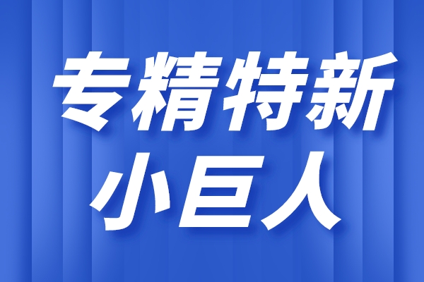专精特新小巨人企业的主要特征，小巨人企业的重点领域