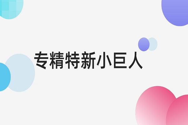 专精特新小巨人认定标准是什么，专精特新小巨人申报条件