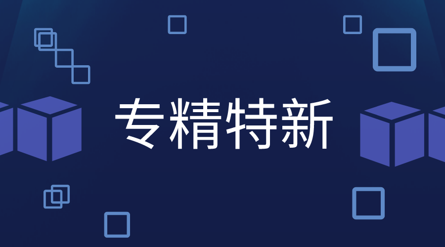专精特新申报
