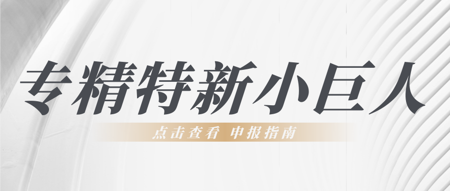 第六批专精特新“小巨人”申报倒计时！企业要如何准备申报工作？