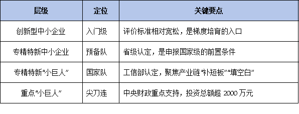 2026国家级专精特新申报全景指南：政策新风向、认定条件与梯度培育路径深度解析