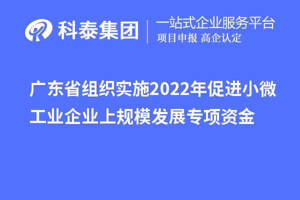 广东省组织实施2022年促进小微工业企业上规模发展专项资金