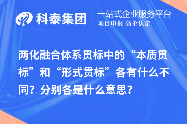 两化融合体系贯标中的“本质贯标”和“形式贯标”各有什么不同？分别各是什么意思？