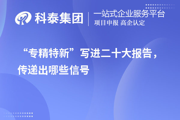 “专精特新”写进二十大报告，传递出哪些信号