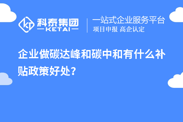 企业做碳达峰和碳中和有什么补贴政策好处？
