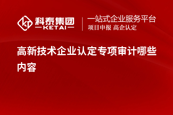 高新技术企业认定专项审计哪些内容