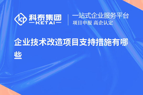 企业技术改造项目支持措施有哪些