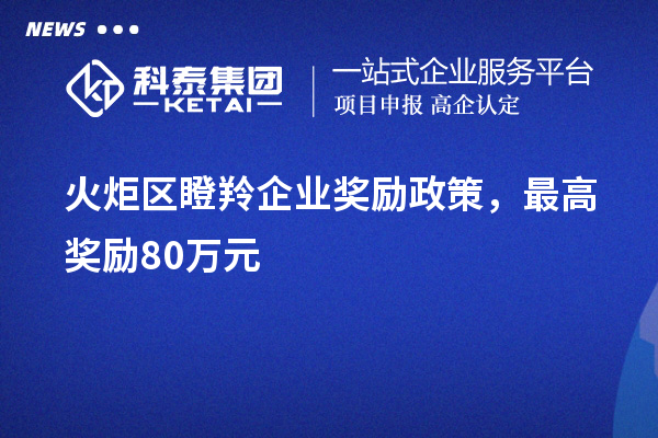 火炬区瞪羚企业奖励政策，最高奖励80万元