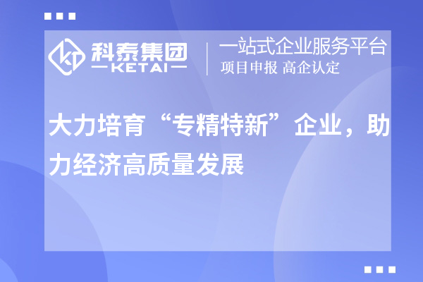 大力培育“专精特新”企业，助力经济高质量发展