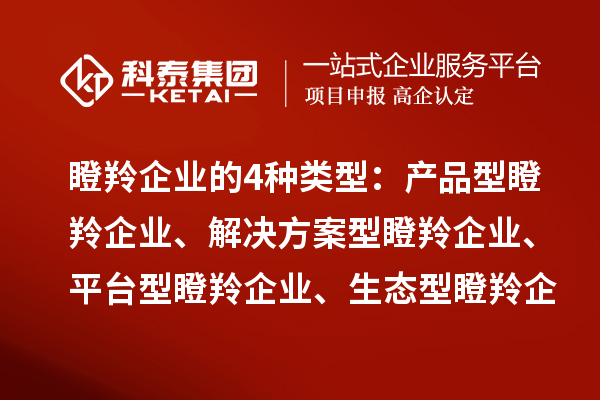 瞪羚企业的4种类型：产品型瞪羚企业、解决方案型瞪羚企业、平台型瞪羚企业、生态型瞪羚企业