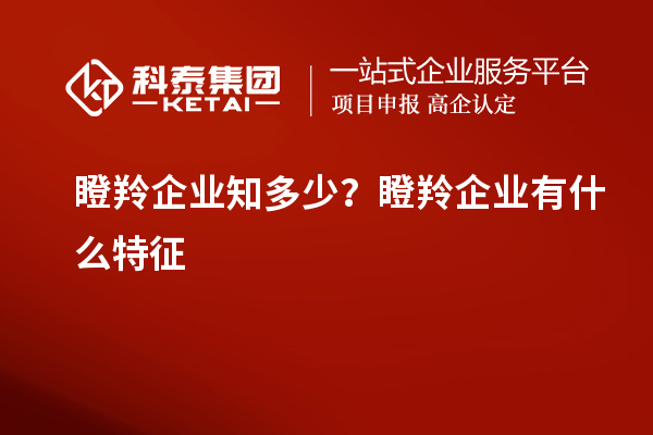 瞪羚企业知多少？瞪羚企业有什么特征