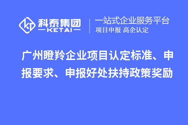 广州瞪羚企业项目认定标准、申报要求、申报好处扶持政策奖励