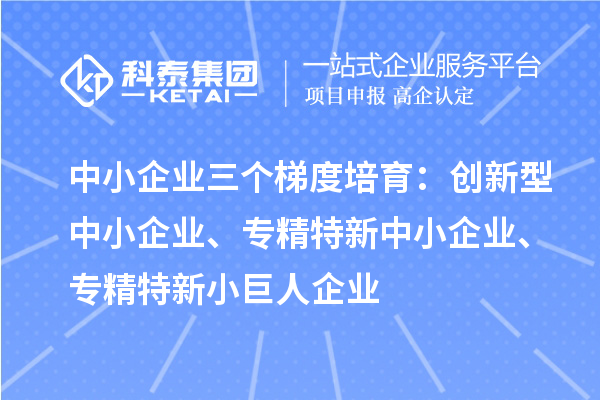 中小企业三个梯度培育：创新型中小企业、专精特新中小企业、专精特新小巨人企业