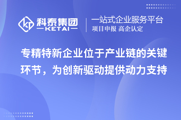 专精特新企业位于产业链的关键环节，为创新驱动提供动力支持