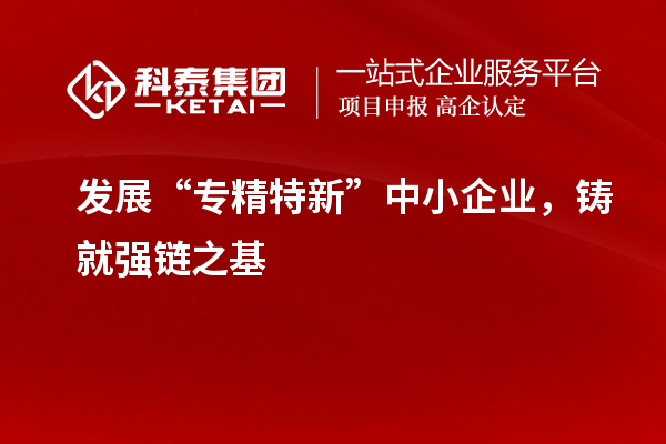 发展“专精特新”中小企业，铸就强链之基