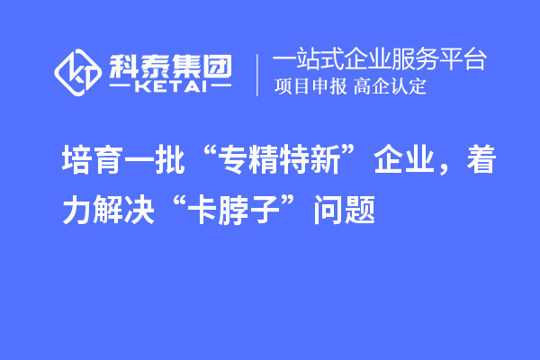 培育一批“专精特新”企业，着力解决“卡脖子”问题