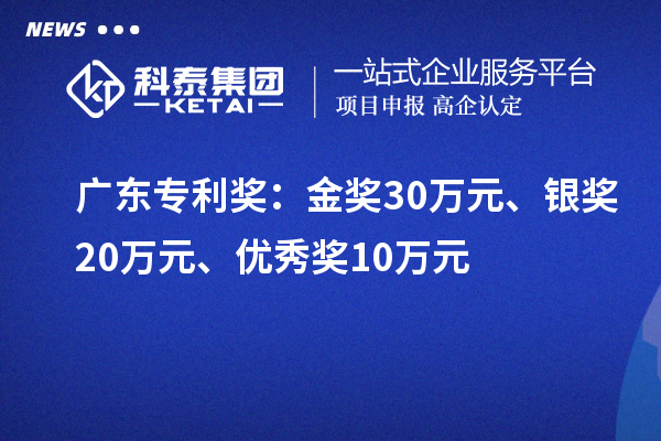 广东专利奖：金奖30万元、银奖20万元、优秀奖10万元（省级）
