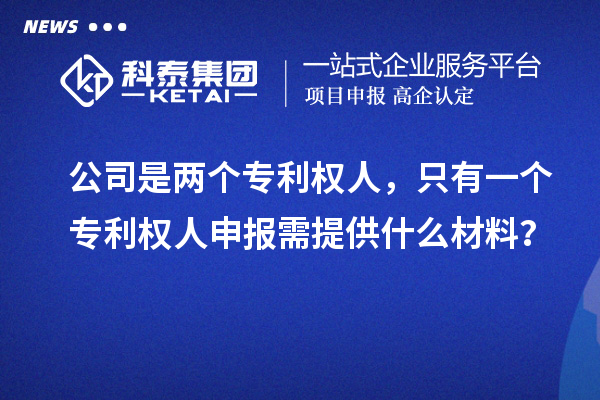 公司是两个专利权人，只有一个专利权人申报需提供什么材料？