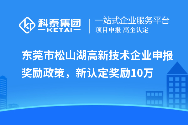 东莞市松山湖高新技术企业申报奖励政策，新认定奖励10万