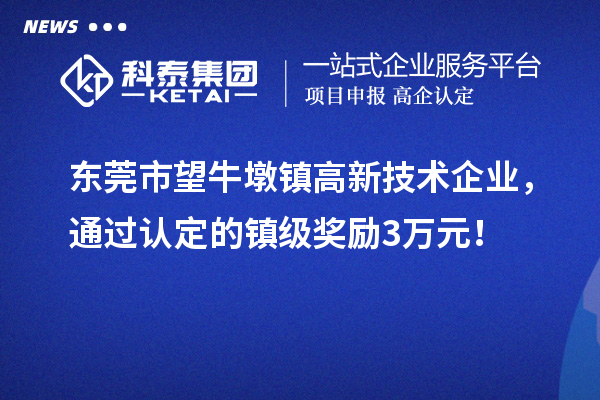 东莞市望牛墩镇高新技术企业，通过认定的镇级奖励3万元！