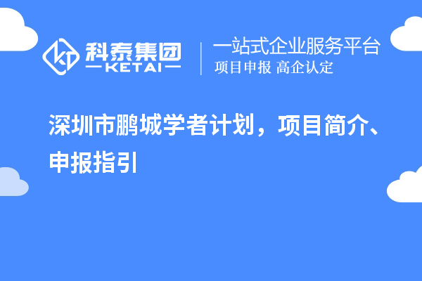 深圳市鹏城学者计划，项目简介、申报指引