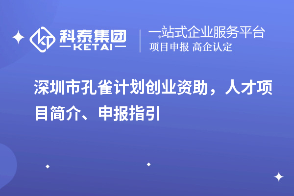 深圳市孔雀计划创业资助，人才项目简介、申报指引