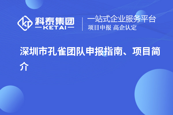 深圳市孔雀团队申报指南、项目简介