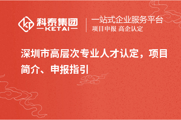 深圳市高层次专业人才认定，项目简介、申报指引
