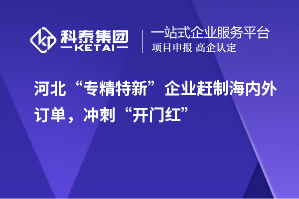 河北“专精特新”企业赶制海内外订单，冲刺“开门红”
