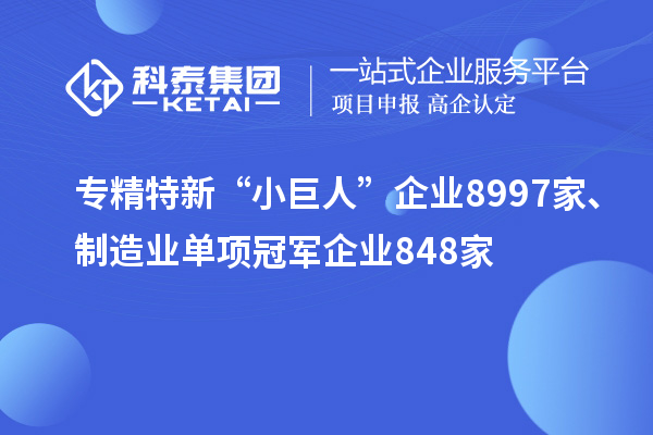 专精特新“小巨人”企业8997家、制造业单项冠军企业848家