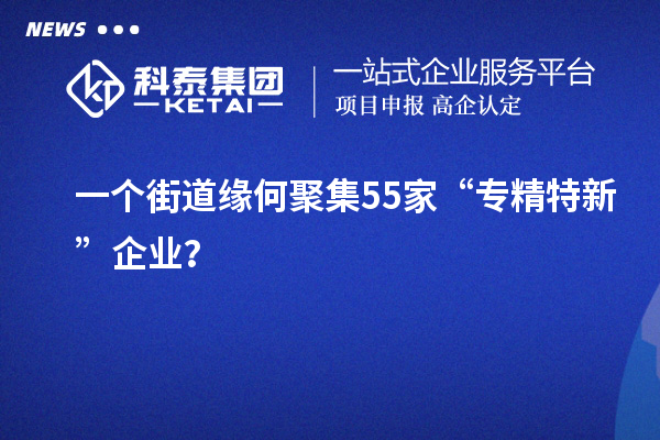 一个街道缘何聚集55家“专精特新”企业？