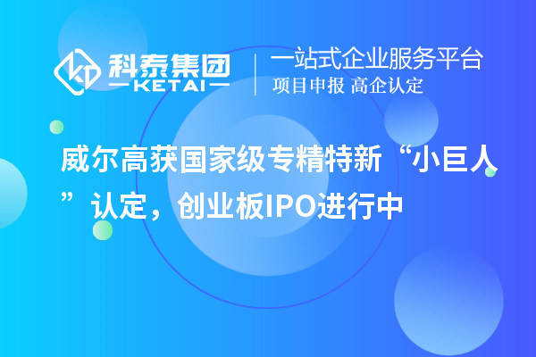 威尔高获国家级专精特新“小巨人”认定，创业板IPO进行中