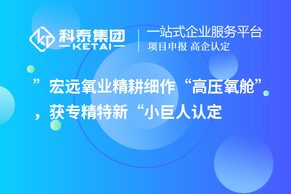 ”宏远氧业精耕细作“高压氧舱”，获专精特新“小巨人认定