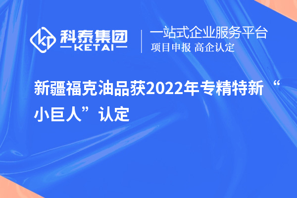 新疆?？擞推坊?022年专精特新“小巨人”认定