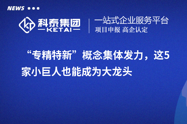 “专精特新”概念集体发力，这5家小巨人也能成为大龙头