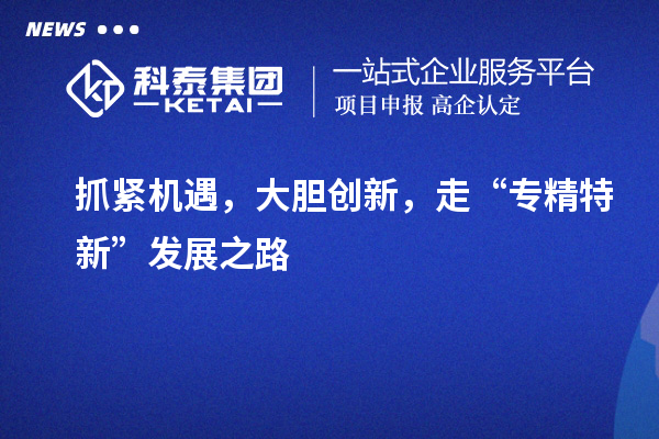 抓紧机遇，大胆创新，走“专精特新”发展之路