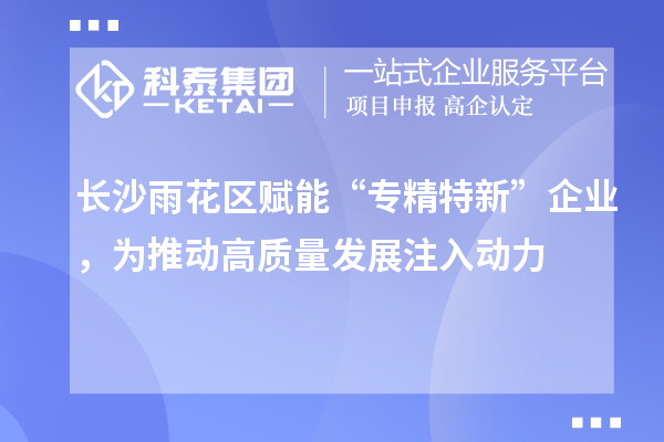 长沙雨花区赋能“专精特新”企业，为推动高质量发展注入动力