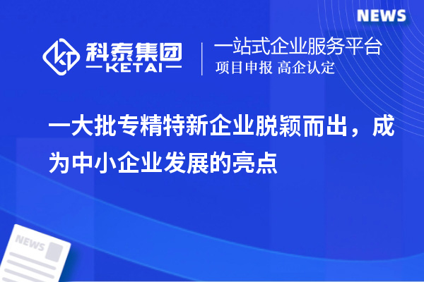一大批专精特新企业脱颖而出，成为中小企业发展的亮点