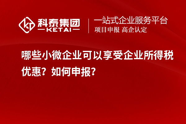 哪些小微企业可以享受企业所得税优惠？如何申报？