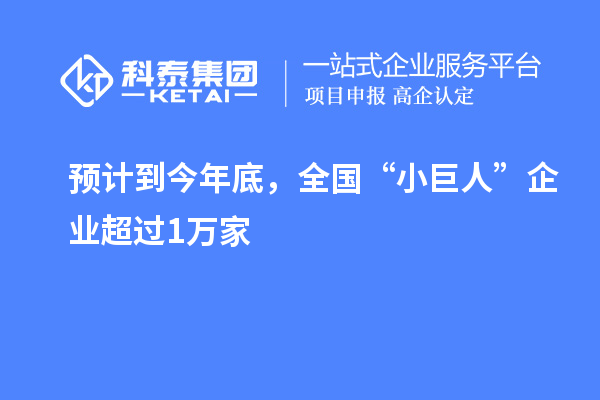 预计到今年底，全国“小巨人”企业超过1万家