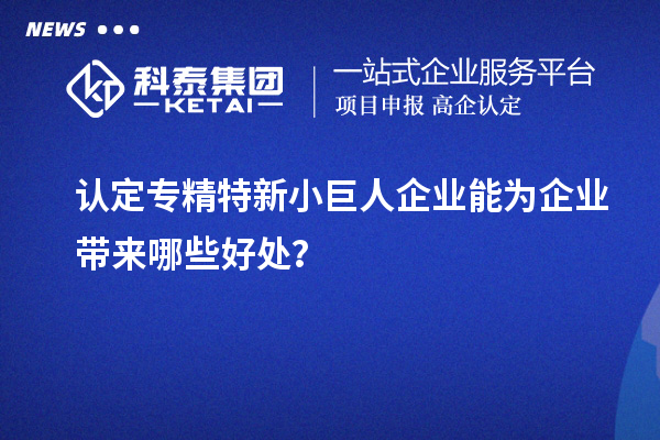 认定专精特新小巨人企业能为企业带来哪些好处？
