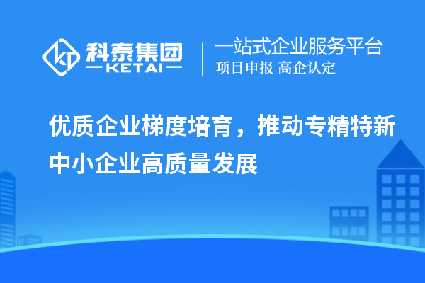 优质企业梯度培育，推动专精特新中小企业高质量发展