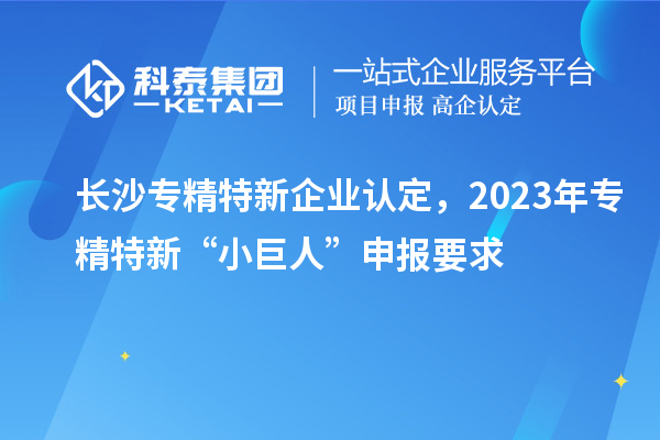 长沙专精特新企业认定，2023年专精特新“小巨人”申报要求