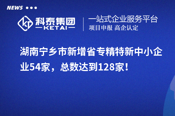 湖南宁乡市新增省专精特新中小企业54家，总数达到128家！