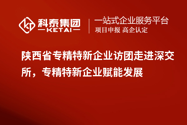 陕西省专精特新企业访团走进深交所，专精特新企业赋能发展