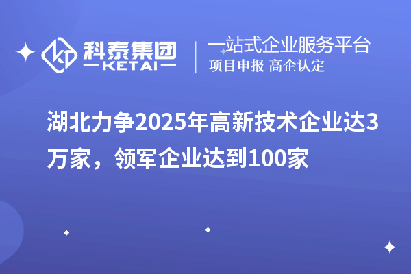 湖北力争2025年高新技术企业达3万家，领军企业达到100家