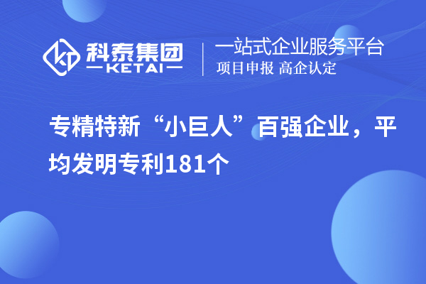 专精特新“小巨人”百强企业，平均发明专利181个