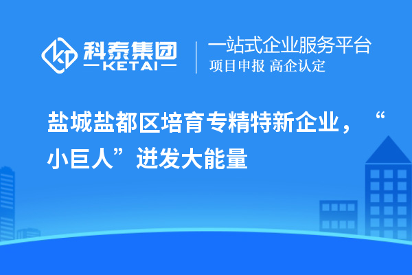 盐城盐都区培育专精特新企业，“小巨人”迸发大能量