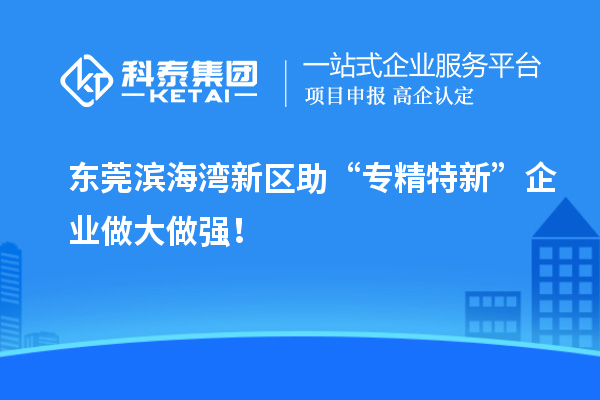 东莞滨海湾新区助“专精特新”企业做大做强！